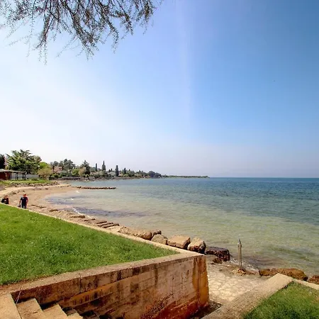 Boris One * Novigrad Istria