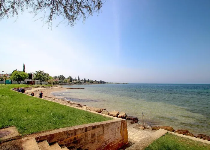 Boris One * Novigrad (Istria)