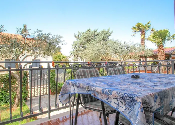 Boris One * Novigrad Istria